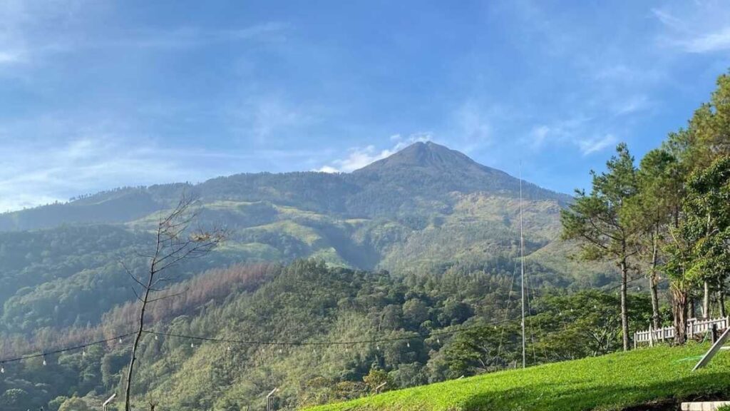 aone trawas dengan background gunung welirang 